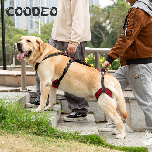 COODEO狗牵引绳辅助大型犬狗绳