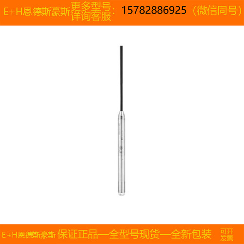 【现货】E+H/恩德斯豪斯 FMX21-2CQ5/0=FMX21-AA221HGD11A+PO正品