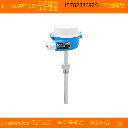 【现货】E+H/ TM131-HN7P2/101=TM131-AABBCCC4BX1AFAC2HA3AA1