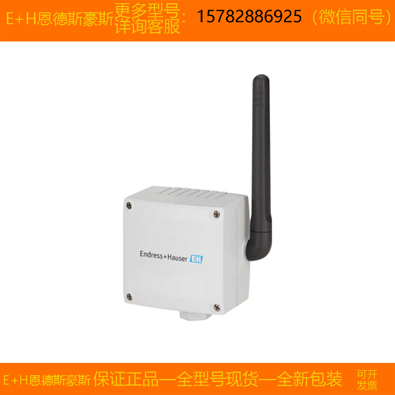 【现货】E+H/恩德斯豪斯 XPD0031-1009/0=XPD0031-AA0F00原装正品