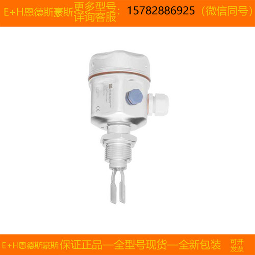 【现货】E+H/恩德斯豪斯 FTL50H-12J4/0=FTL50H-AGW2AC2G6A 正品