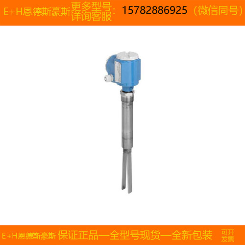 【现货】E+H/恩德斯豪斯 FTM51-AGG2L2A12AA L=300mm全新原装正品