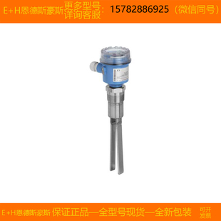 恩德斯豪斯 FTM50 AGG2A2A12AA 8GG2K4A32AA 现货