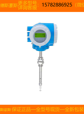 现货E+H恩德斯豪斯6I3BL1-C5T8/06I3BL1-AAIBAEAFAASANA1AAGA2+PF