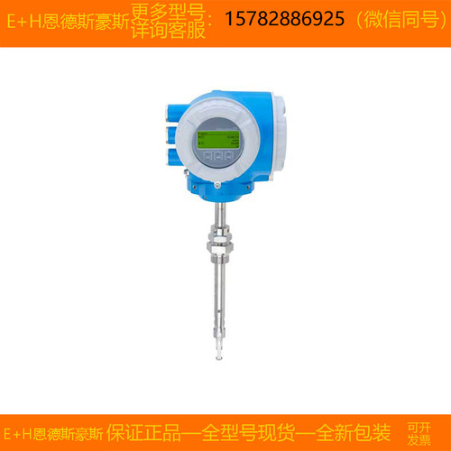 现货E+H恩德斯豪斯6I3BL1-C5T8/06I3BL1-AAIBAEAFAASANA1AAGA2+PF