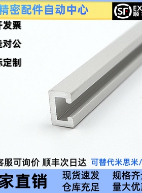 SENAB3-100 200 300 400 500 600 700 800 900光电传感器用滑轨