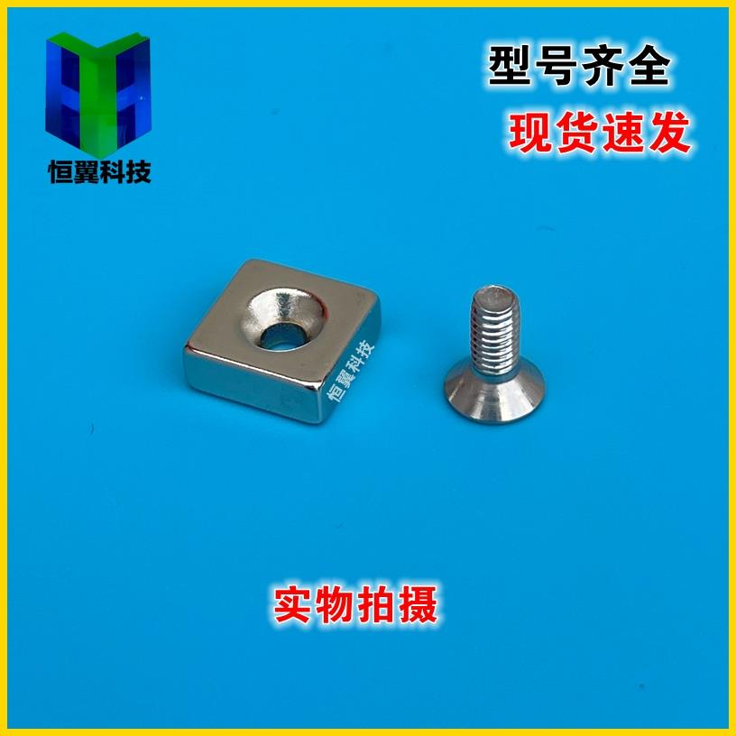 NHXCS/NHXCSH8/10/12/15/20/25-2/3/4/4.5/5/6磁铁平头螺栓止动型