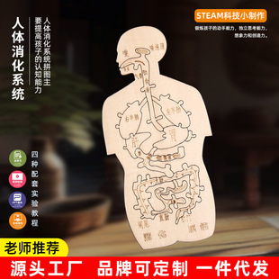 食物人体消化系统模型科技小制作幼儿园手工材料diy早教益智玩具