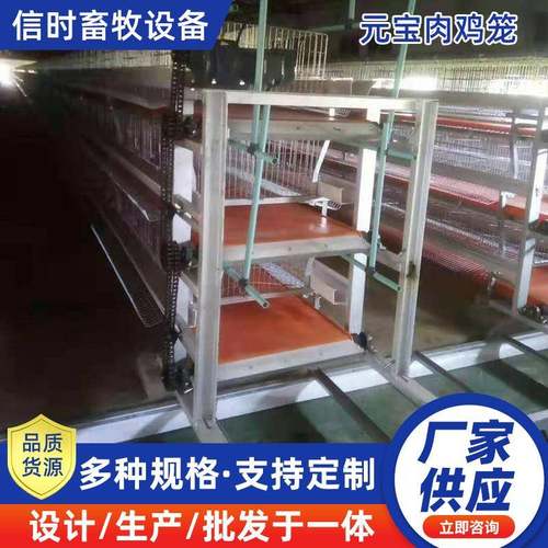 元宝型简易肉鸡笼全自动化肉鸡笼养殖场鸡舍养鸡设备养殖设备