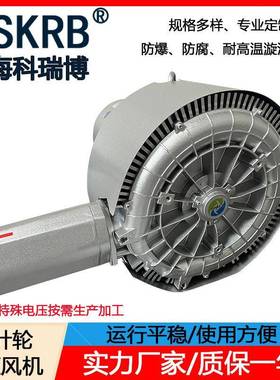 零售2GH420-H36380V1.6KW漩涡高压鼓风机高吸力旋涡式气泵