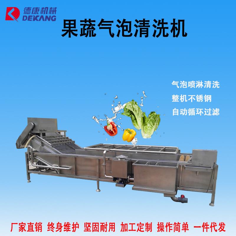 全自动果蔬清洗机大型气泡清洗机多种型号叶茎类蔬菜清洗机厂家