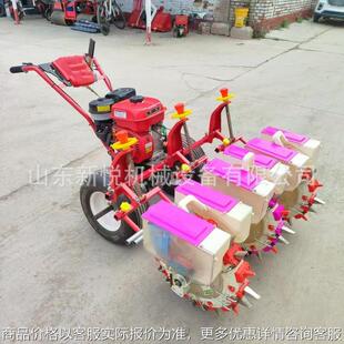 玉米大豆垄上播种机 两行三行大豆施肥精播机 170汽油点播机