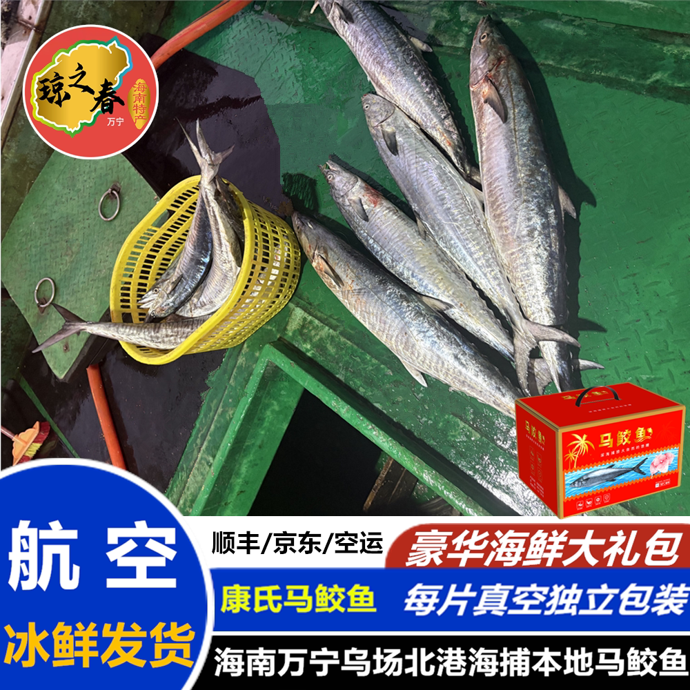 琼之春海南野生大马鲛鱼5斤礼盒