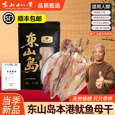 东山十八景鱿鱼干当季新品