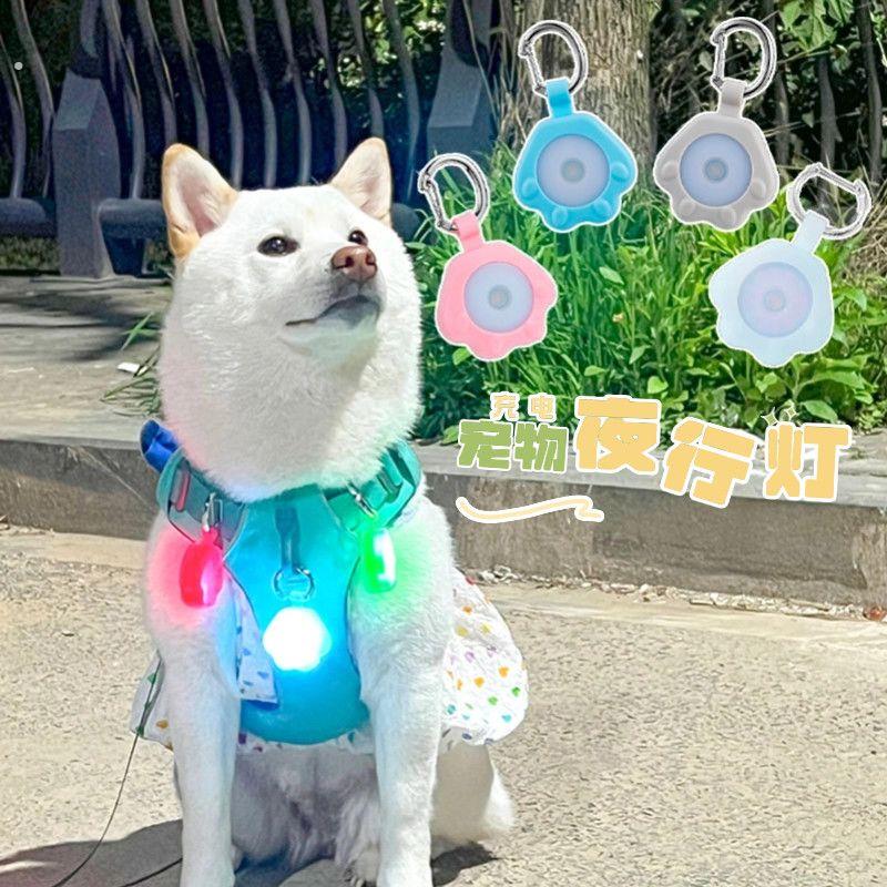宠物夜行灯夜晚出行遛狗神器狗狗防丢发光可爱变色夜光灯充电吊坠