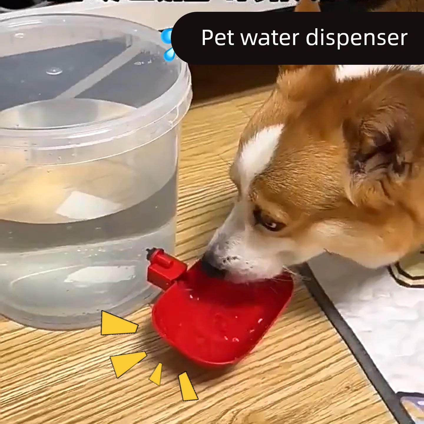 喂鸡桶喂鸡饮水器宠物饮水机猫咪狗狗自动循环喝水喂水器流动水桶