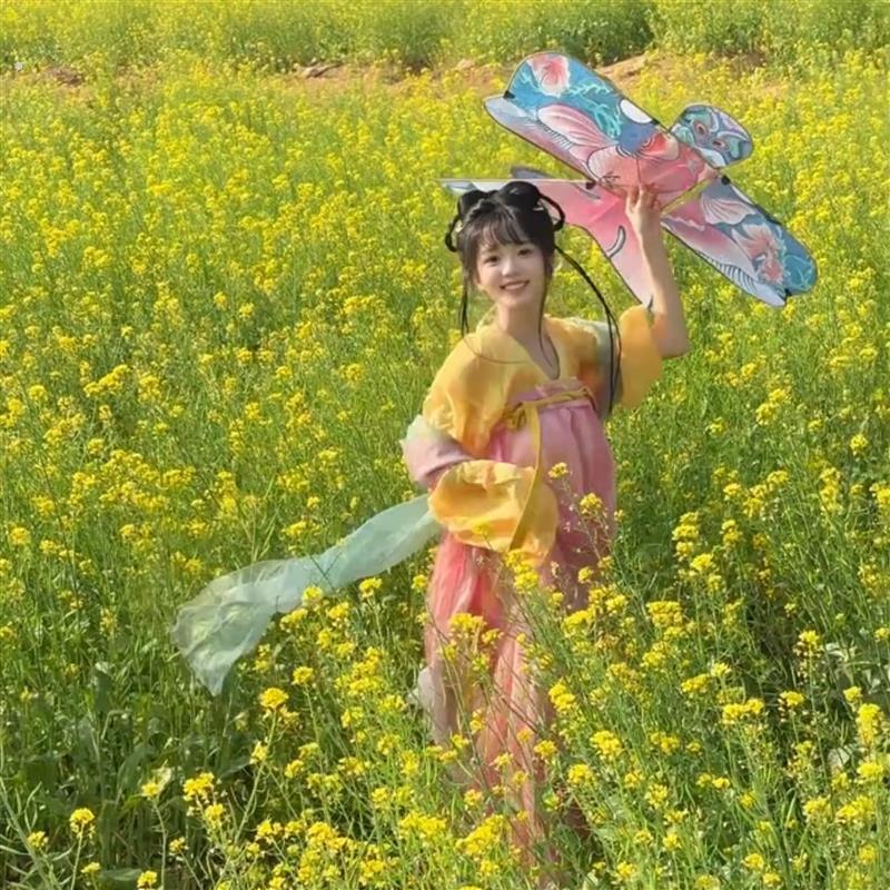 【春游拍照道具】沙燕风筝纸鸢山东潍坊风筝氛围感出片神器