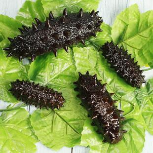 彷真海参模型大辽参刺参塑料假海鲜道具食物饭店酒店菜品样式摆件