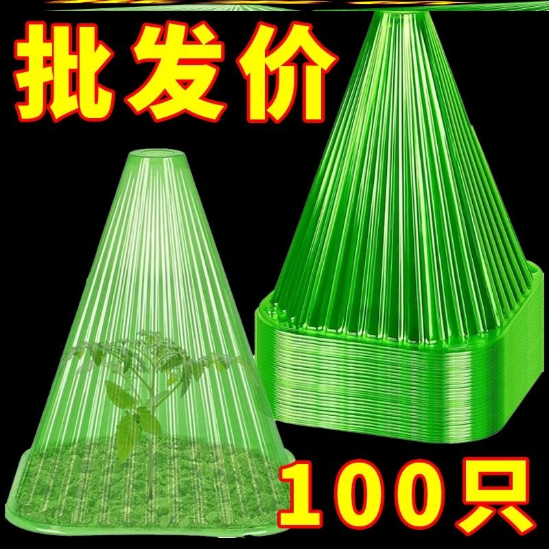 植物钟罩植物免受保护罩
