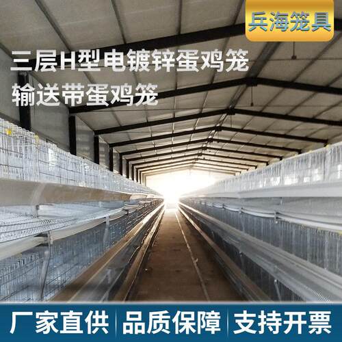 三层H型电镀锌蛋鸡笼使用寿命长自动化养殖设备阶梯式蛋鸡笼