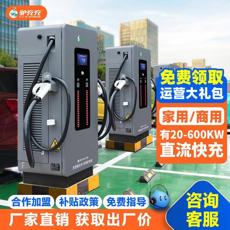 新能源充电取电枪桩器电动汽车家商用120kw直流双枪充电桩