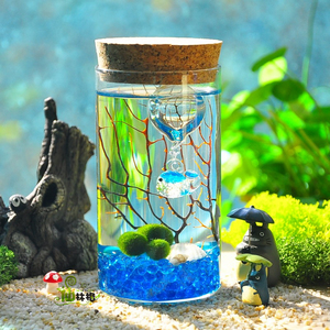 仙林格大促marimo海藻球创意迷你植物微景观生态瓶花样四季
