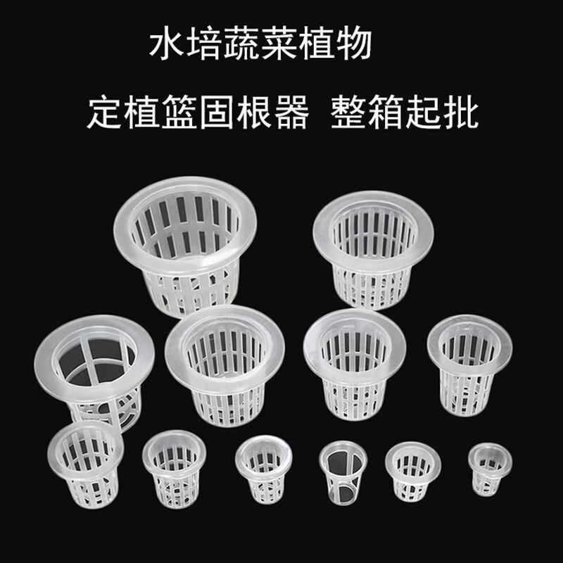 水培植物蔬菜定植篮(整箱起批)阳台无土栽培定植杯加深固根器