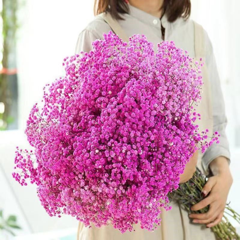 大束满天星鲜花发货 自然风干摆放家居客厅插花摆件清新粉蓝混搭,鲜花速递/花卉仿真/绿植园艺,花材,淘宝优惠券,粉丝福利购,淘宝优惠卷