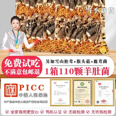 菌菇汤料包云南七彩菌汤包旗舰店
