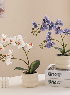 海贝海蝴蝶兰盆栽仿真假花摆设高级感花艺客厅餐桌茶几装饰花摆件