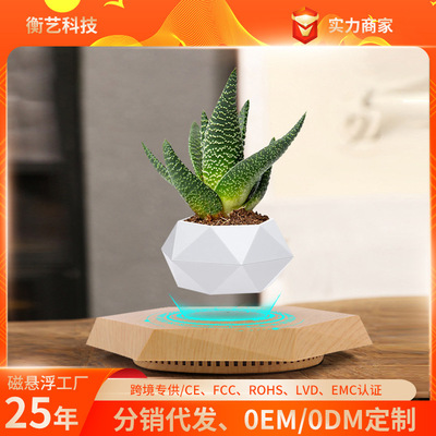 定制桌面植物盆栽 室内绿植仿真可种多肉花苗diyins风盆景
