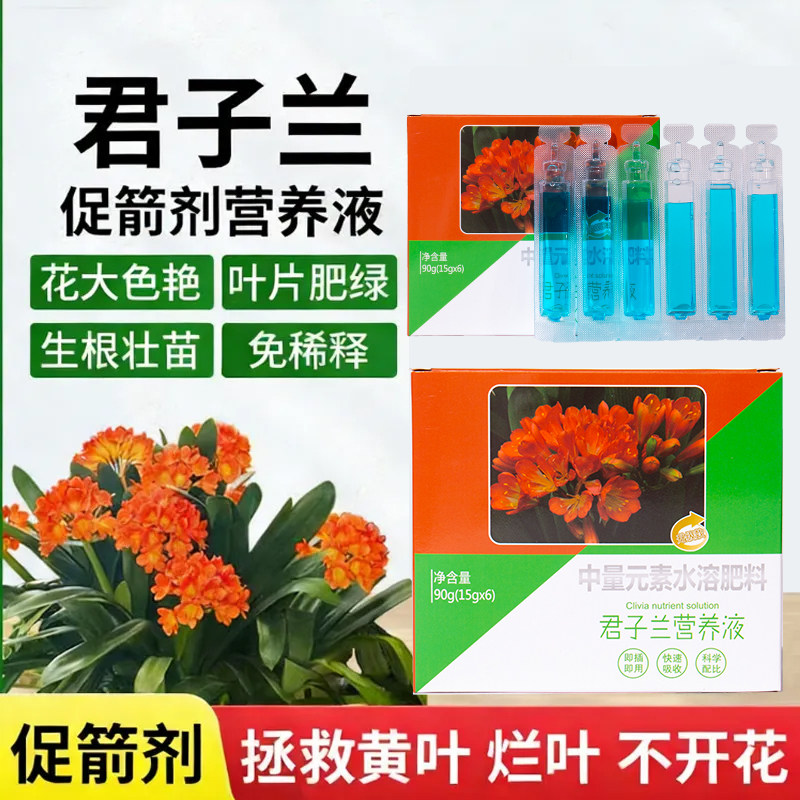 君子兰营养液君子兰夹箭肥料