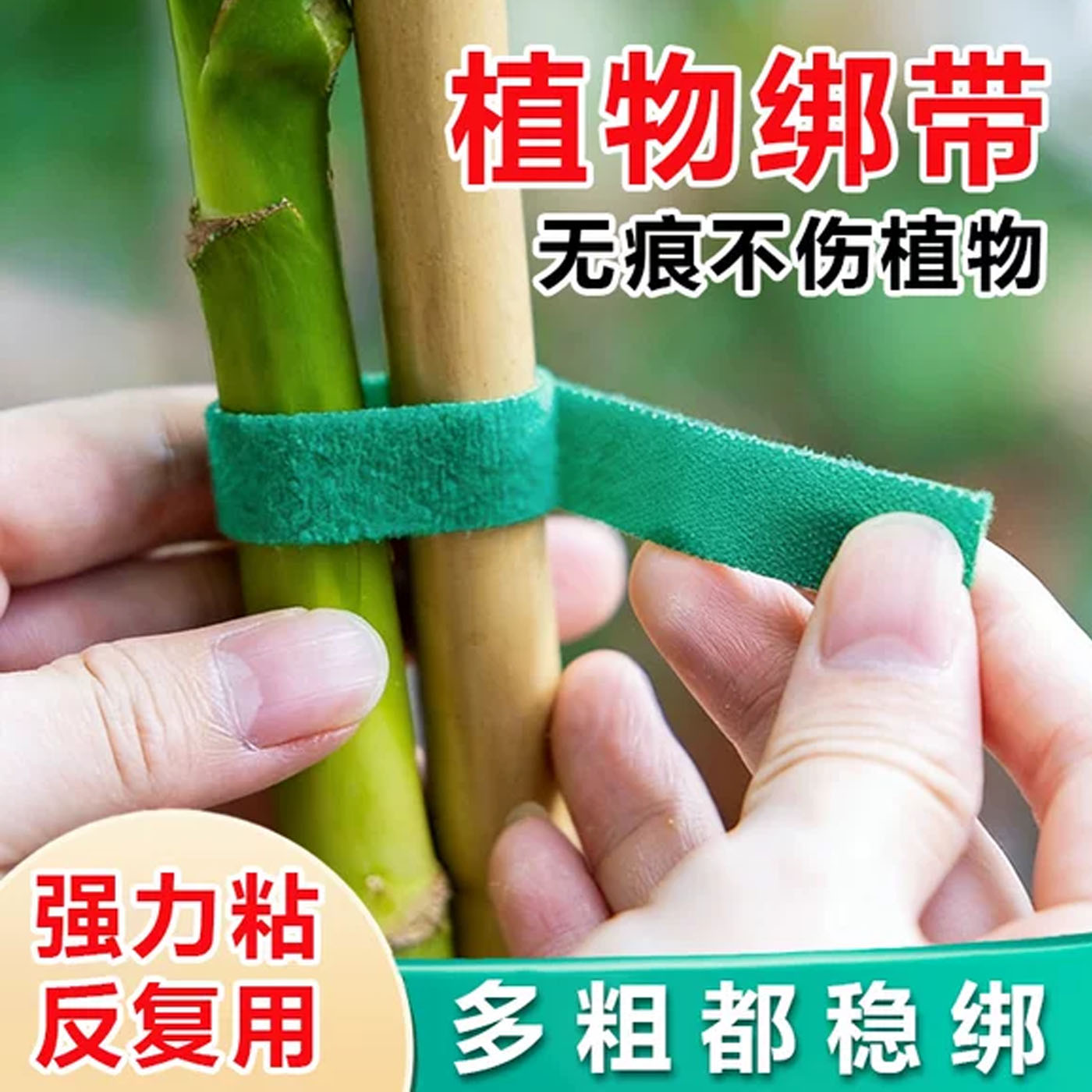 魔术贴扎带打卷绿植捆绑
