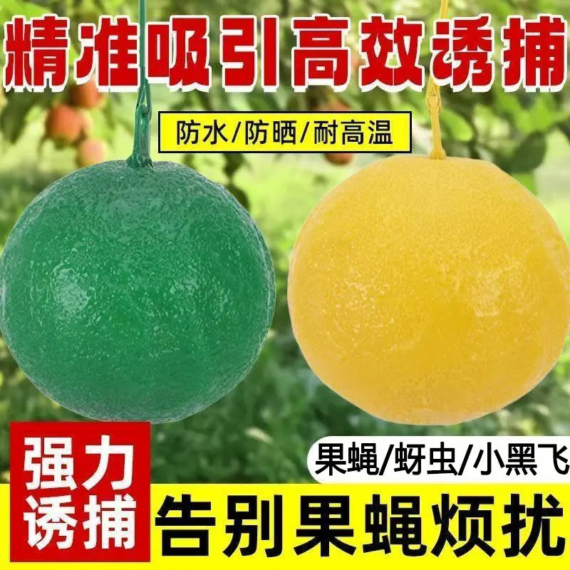 粘虫球果蔬柑橘诱蝇球大直径诱捕器大棚菜园捕虫器雌雄果蝇防水