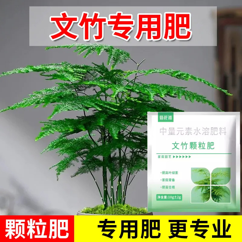 文竹专用肥文竹营养液肥料