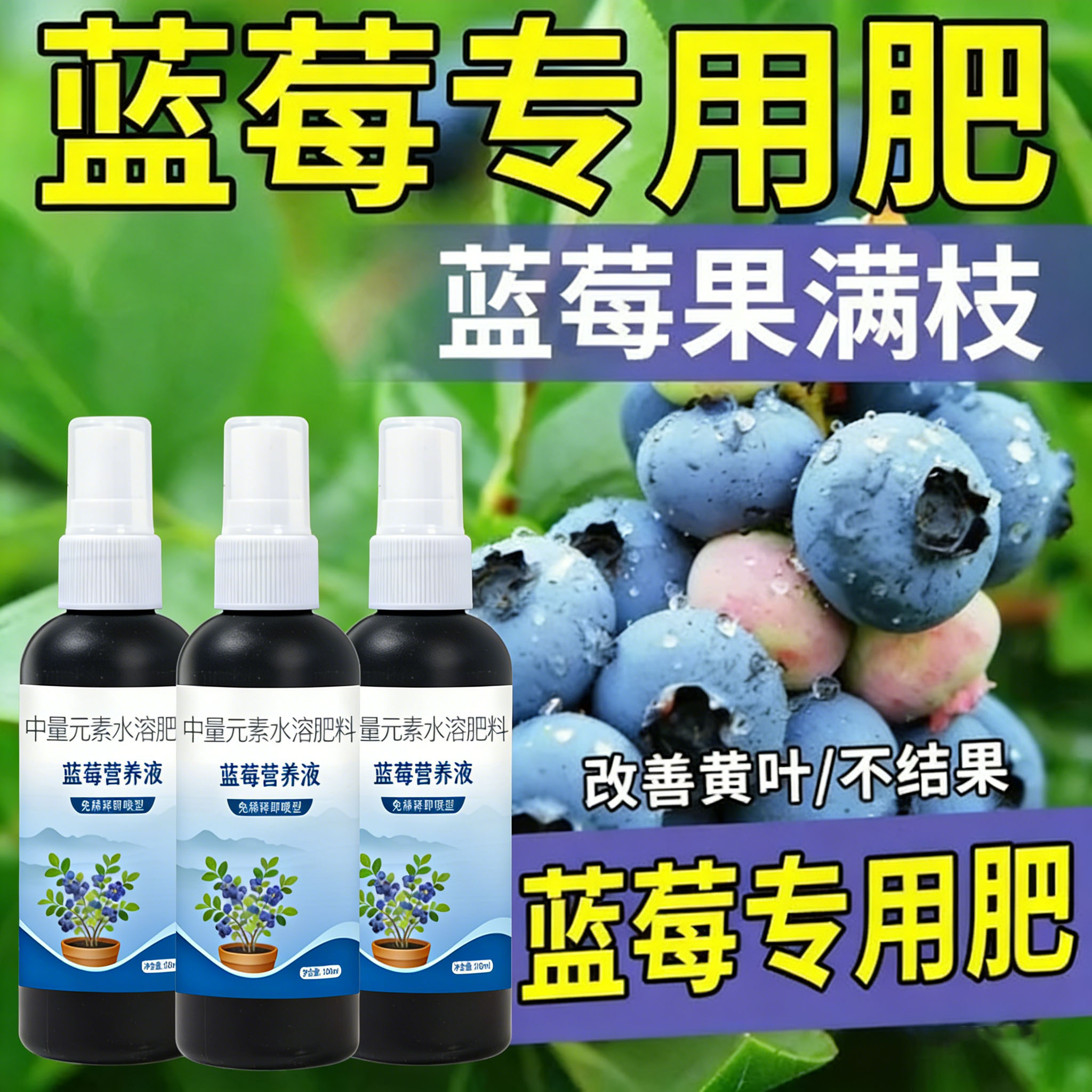 蓝莓营养液促花促果防黄叶