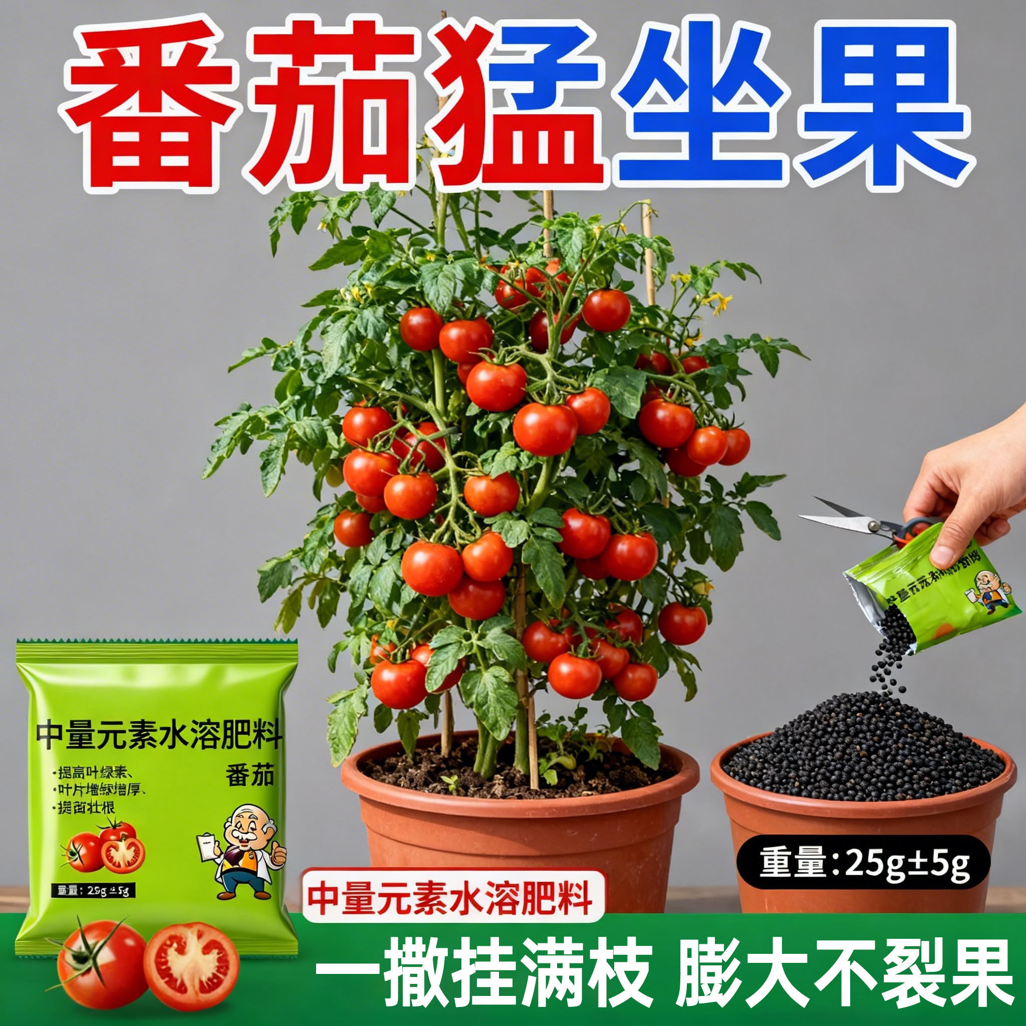 番茄元素水溶肥西红柿专用叶面肥