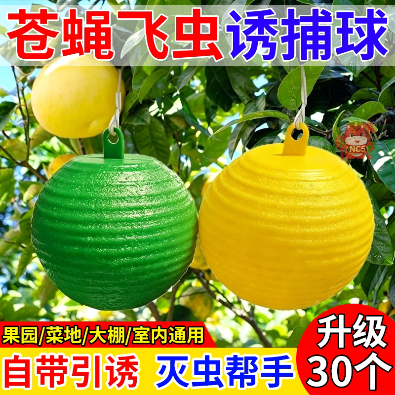 强力诱蝇球果园防实蝇针蜂