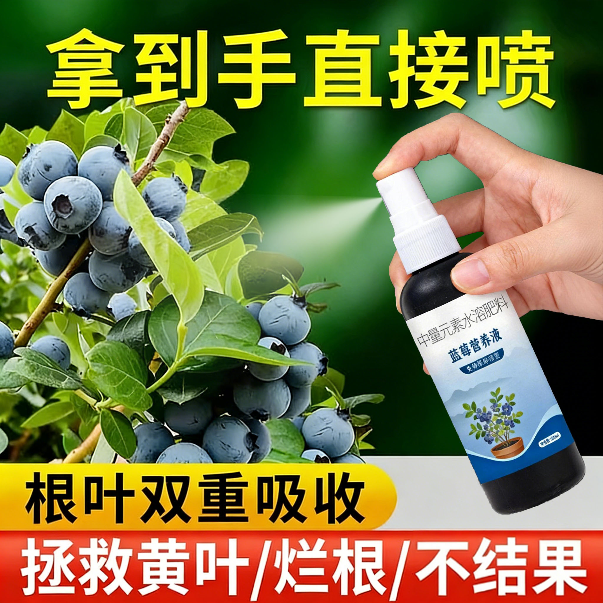 蓝莓营养液促花促果防黄叶