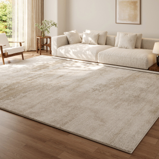 客厅地毯卧室茶几床边毯抽象图案轻奢家用客厅免打理可擦防滑地垫