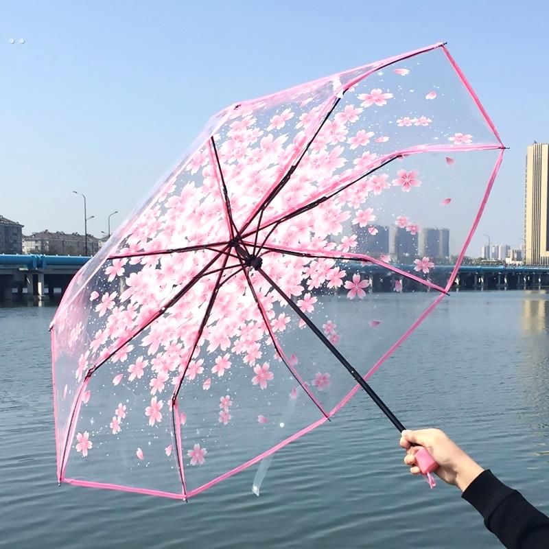 雨伞女生高颜值可爱雨天专用伞透明折叠伞塑料网红手动学生轻便潮