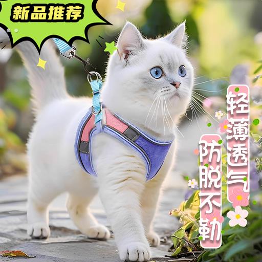 2024新款猫咪牵引绳溜猫绳猫猫背带背心式胸背防挣脱猫咪外出专用