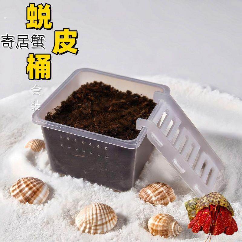 寄居蟹蜕皮桶套装迷你隔离盒攀爬梯子爬宠助脱皮养寄居蟹套餐