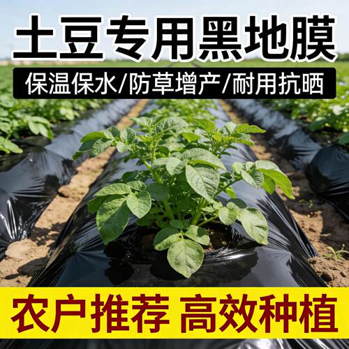 土豆专用黑色地膜一次性黑膜盖菜防草布加厚塑料薄膜农用种植土豆