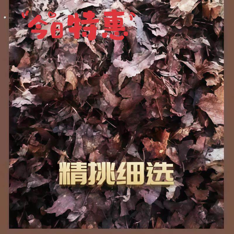 橡树叶中大叶发酵无土九分干兰科种菜养根透气种植土腐熟发酵腐叶