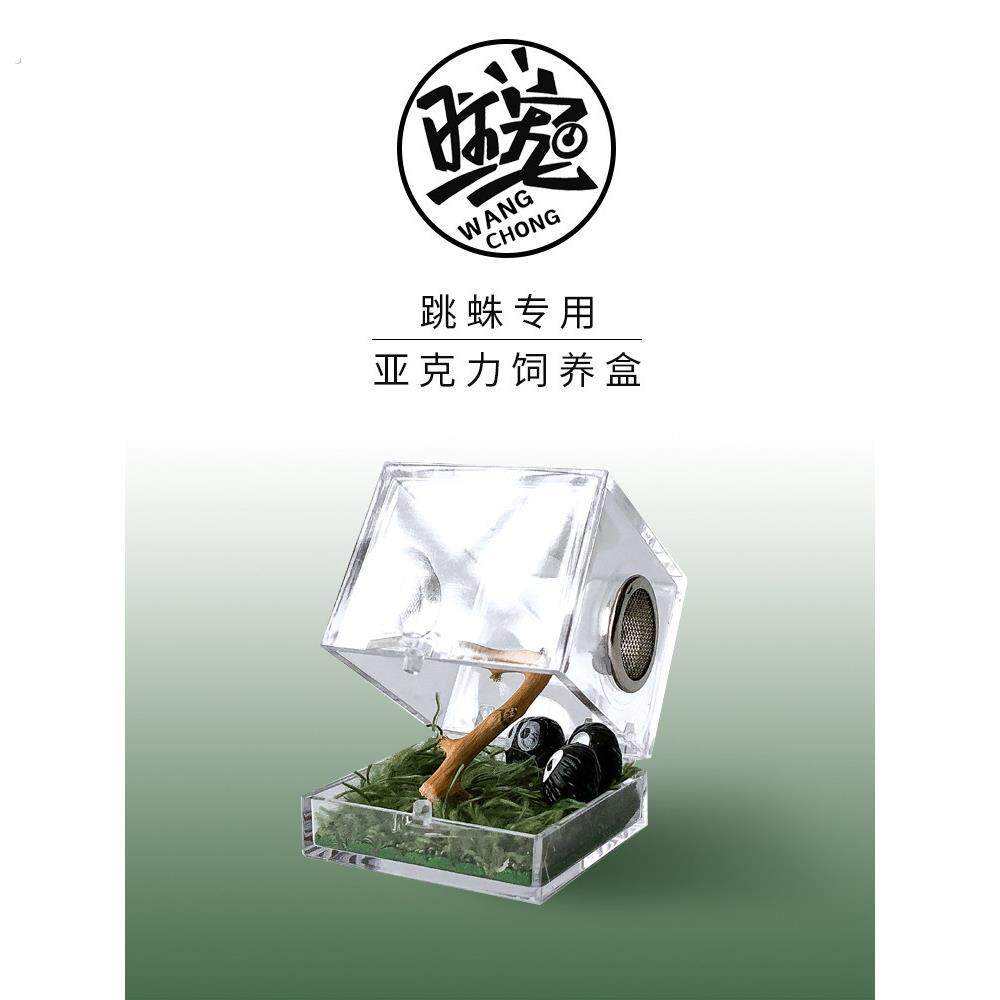 宠物跳跃蜘蛛甲虫繁殖箱攀登宠物繁殖箱亚克力高透明透气性透明箱
