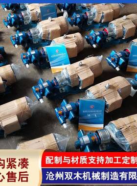 厂家供应蠕动泵齿轮油泵440V60HZ润滑油驳运2CY3.3/0.33齿轮泵