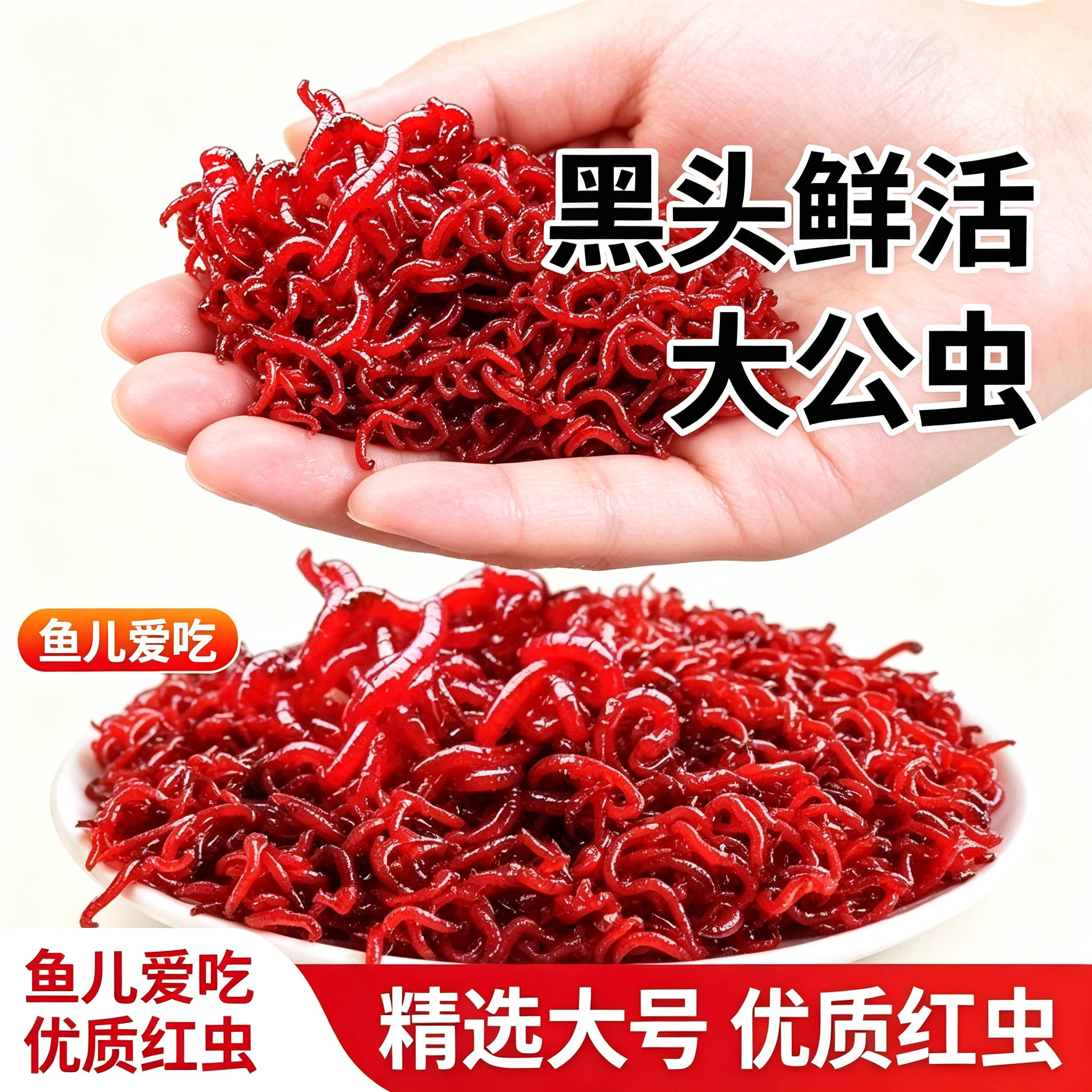 鲜活特大红虫蚯蚓钓鱼饵料