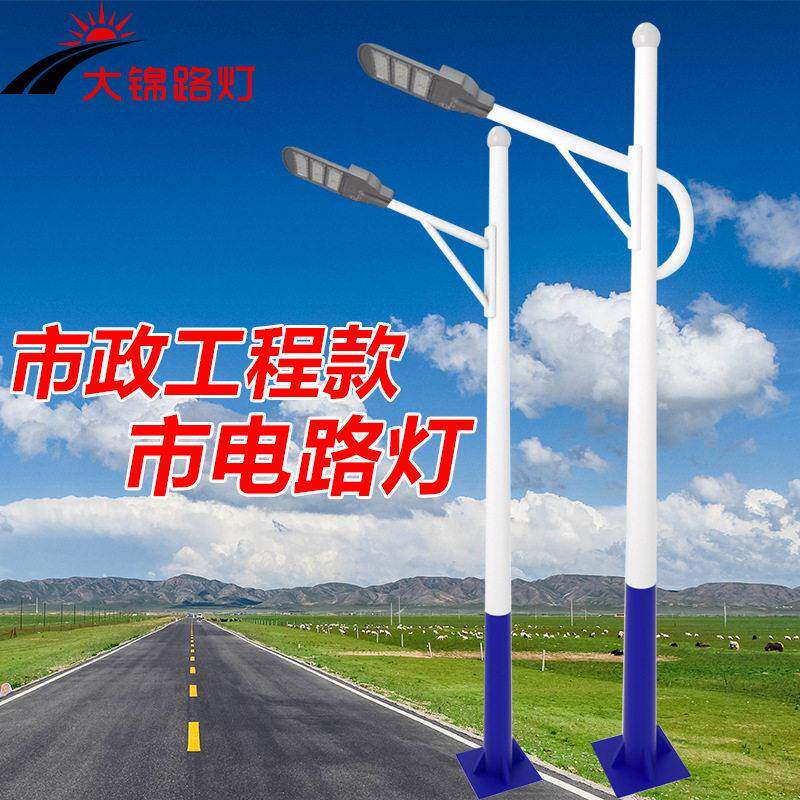 道路照明市电路灯市政基建项目园区街道厂区路灯户外防水亮灯具