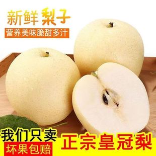甘肃景泰皇冠梨新鲜水果当季现摘现发孕妇脆甜多汁中大果产地批发